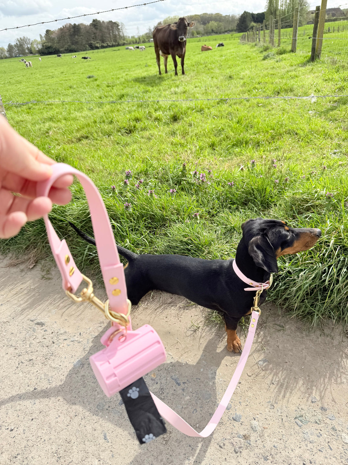 Wandelen