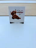 Wil jij mijn meter/peter zijn? | Tegeltje met houder