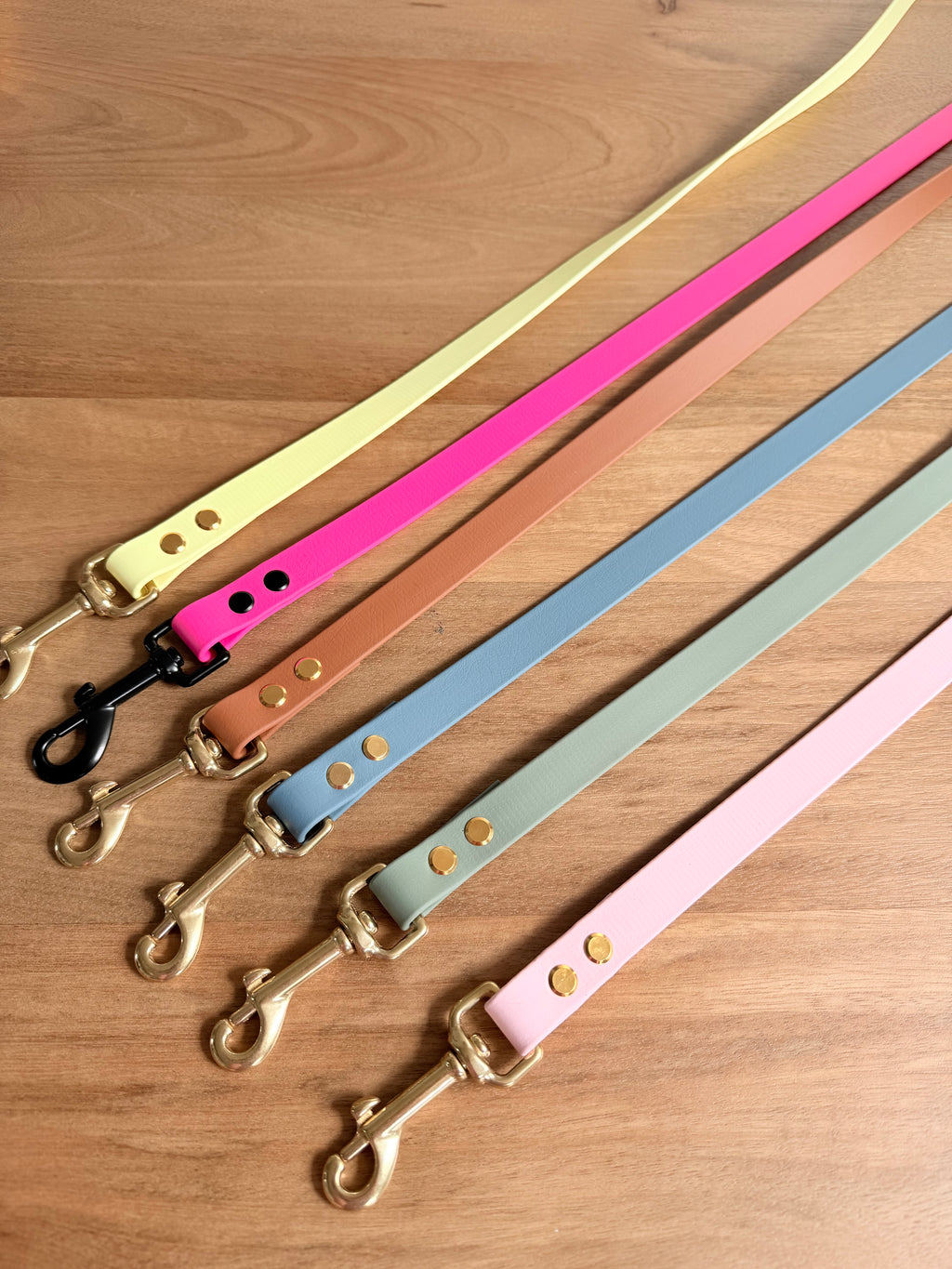 Biothane Halsband